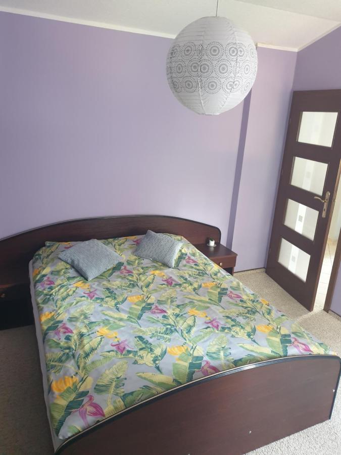 Apartament Pod Sosnami 1 Noclegi Otw Borowno Wlk Skarszewy 外观 照片