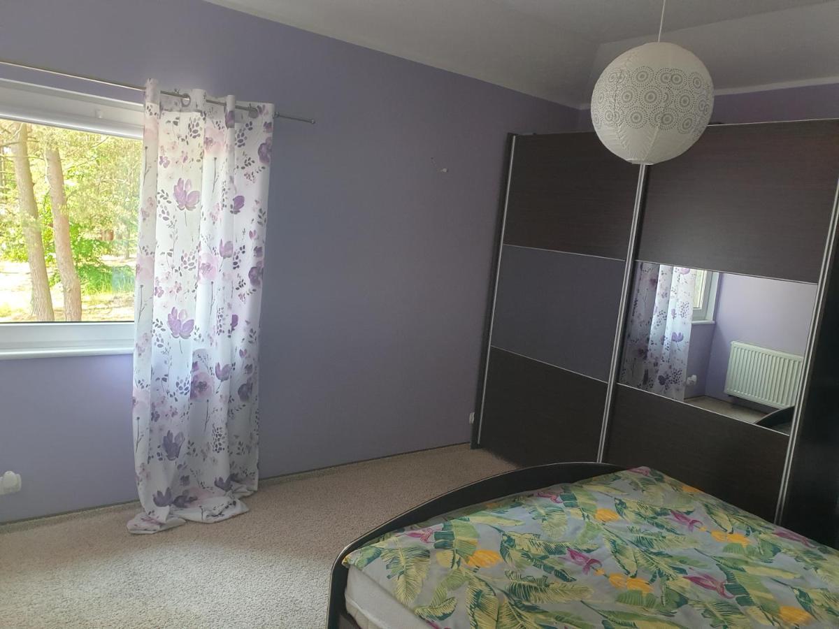 Apartament Pod Sosnami 1 Noclegi Otw Borowno Wlk Skarszewy 外观 照片